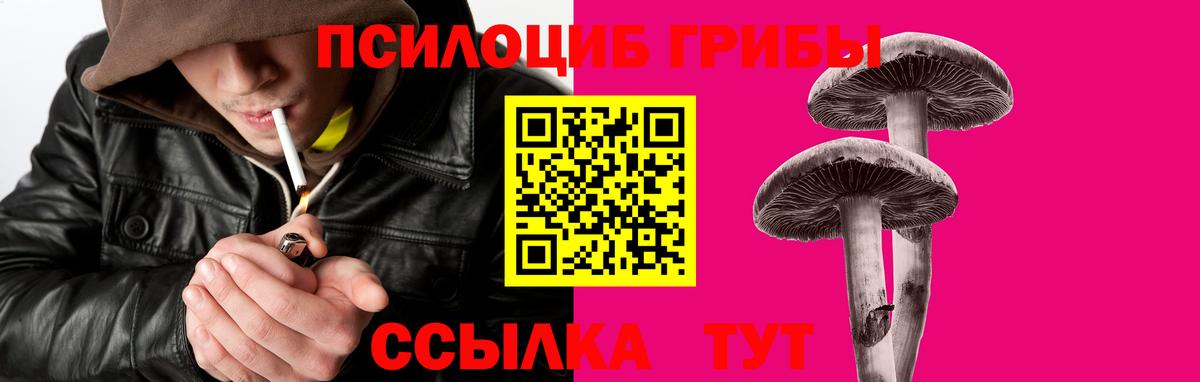Псилоцибиновые грибы прущие грибы  Вход с VPN  Шахты 